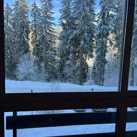 公寓 Elizi Winter 潘波洛沃